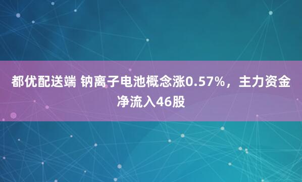 都优配送端 钠离子电池概念涨0.57%，主力资金净流入46股