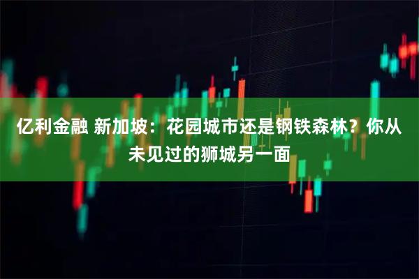 亿利金融 新加坡：花园城市还是钢铁森林？你从未见过的狮城另一面