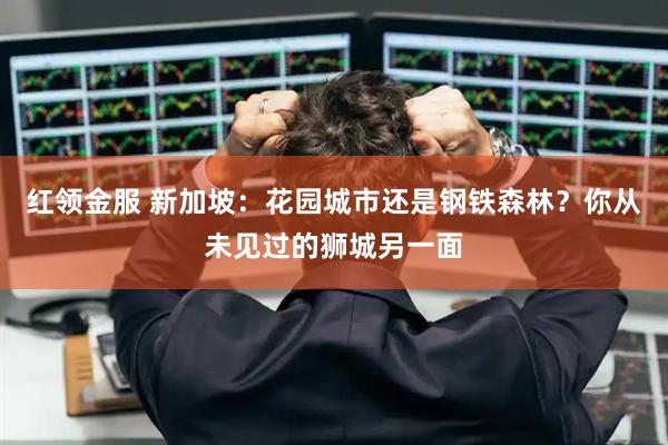 红领金服 新加坡：花园城市还是钢铁森林？你从未见过的狮城另一面