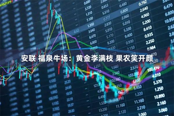 安联 福泉牛场：黄金李满枝 果农笑开颜