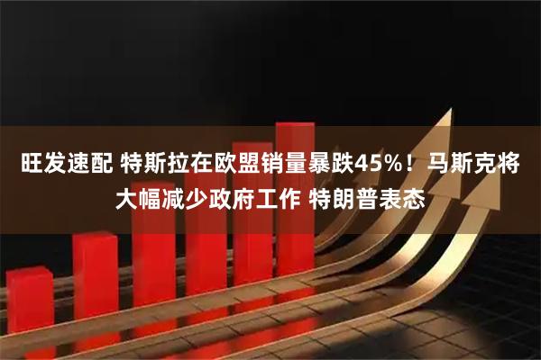 旺发速配 特斯拉在欧盟销量暴跌45%！马斯克将大幅减少政府工作 特朗普表态