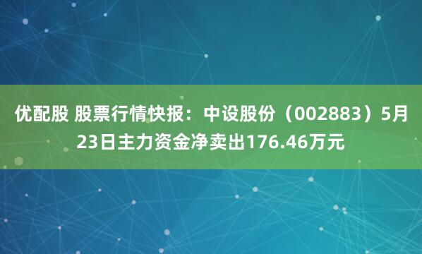 优配股 股票行情快报：中设股份（002883）5月23日主力资金净卖出176.46万元