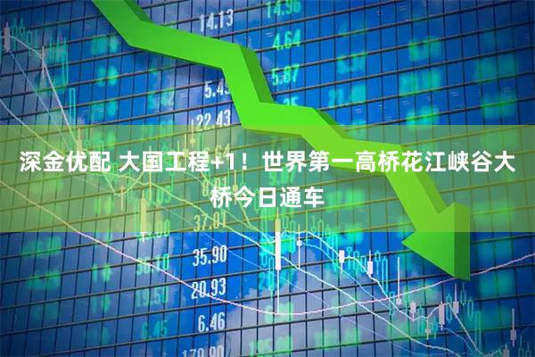 深金优配 大国工程+1！世界第一高桥花江峡谷大桥今日通车